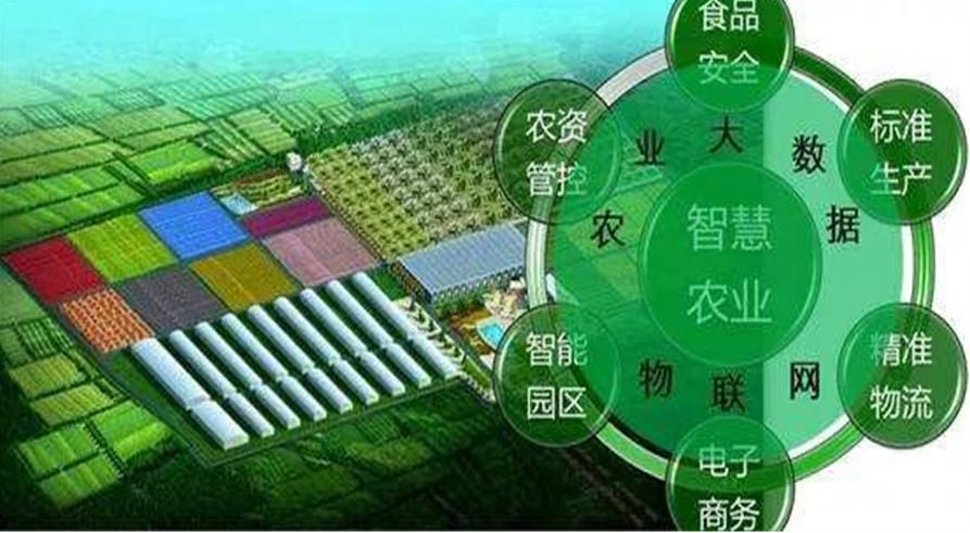 智慧農業(yè)興起信息不再閉塞效果圖