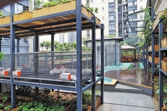 智能生態(tài)價(jià)值體系造福未來智慧城市發(fā)展效果圖